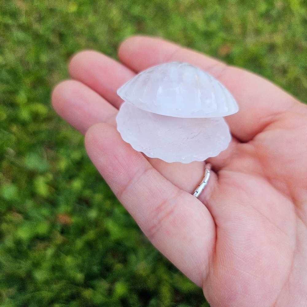 3 mini open clam shell 1.2 in each - Picture 3 of 6